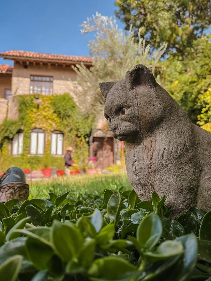 Bed and Breakfast Casa Liza San Miguel de Allende Exteriér fotografie
